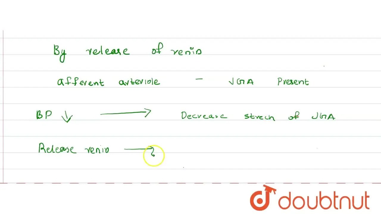 [Malayalam Solution] The functions of kidney is efficiently regulated