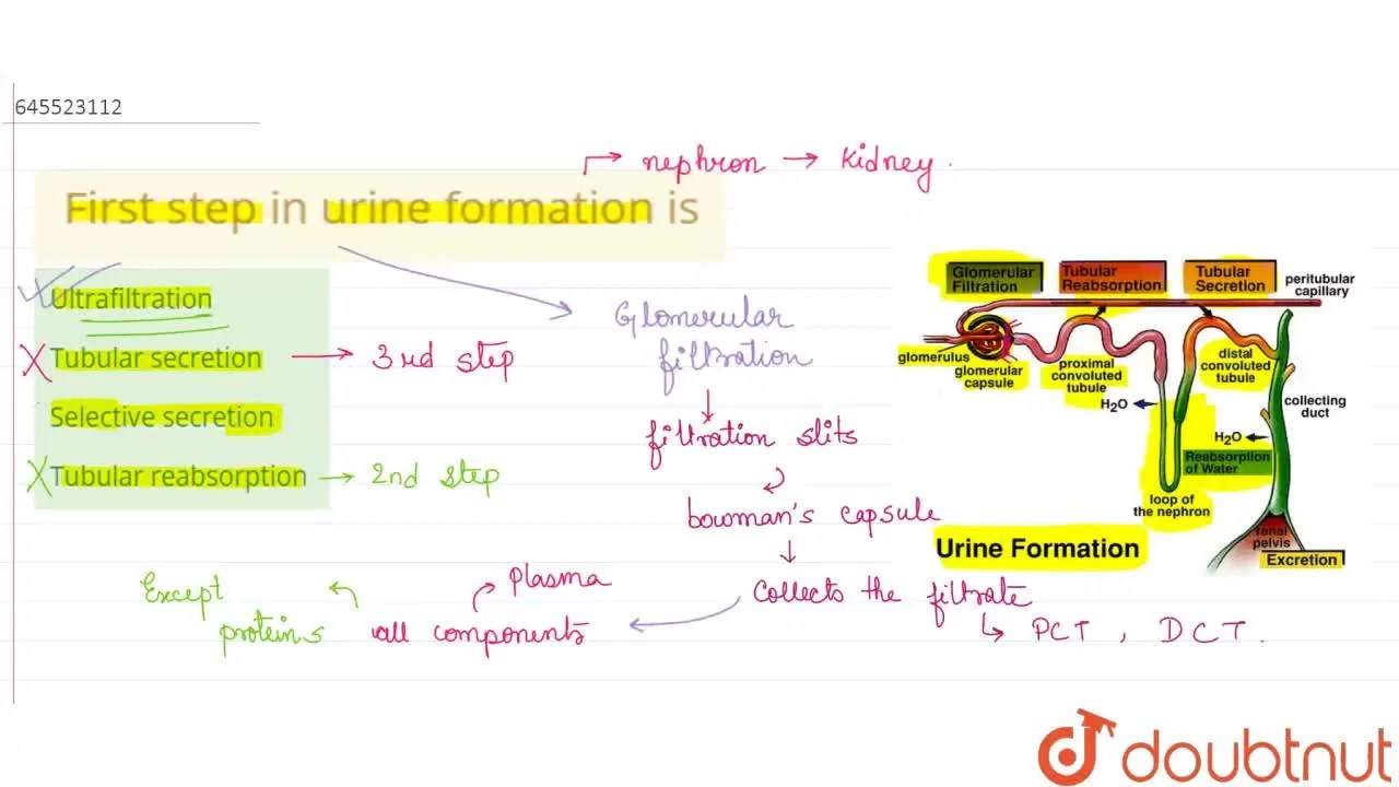 [Bengali Solution] First step in urine formation is