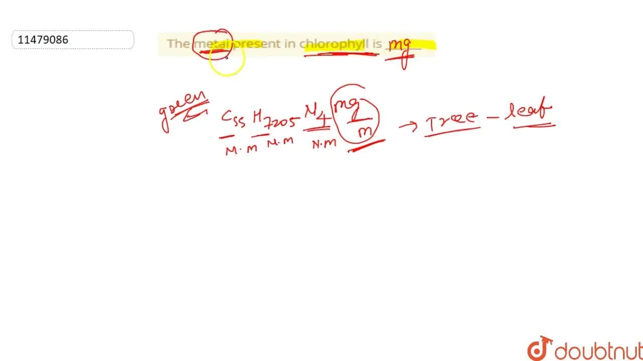 The metal present in chlorophyll is
