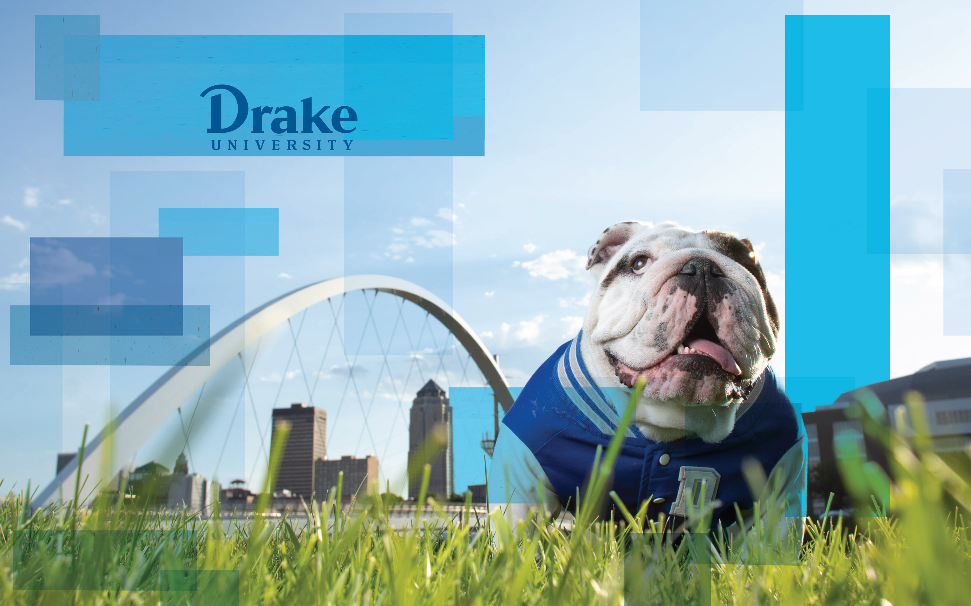 Downloads Drake University