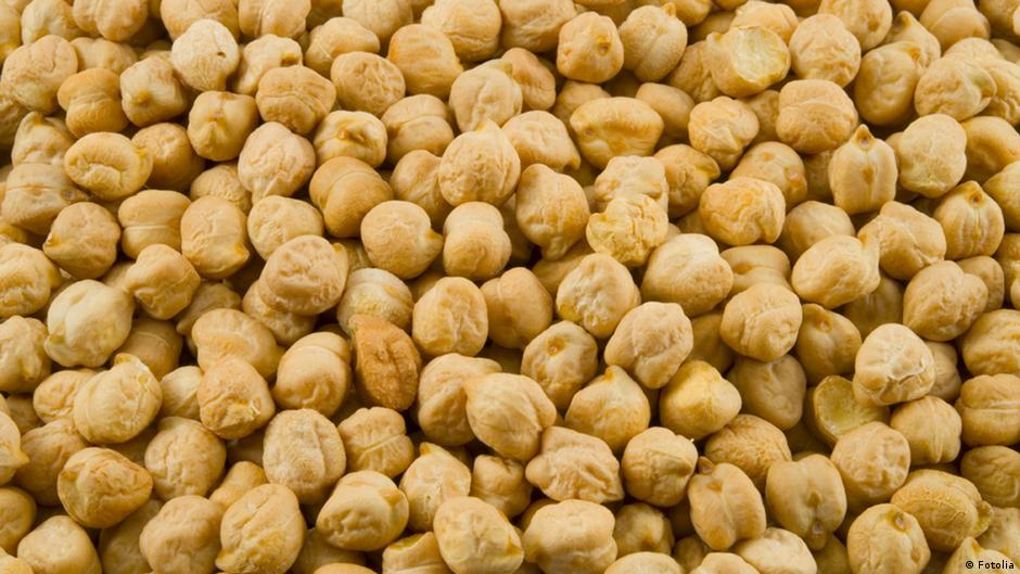 Enabling chickpea cultivation in Germany DW 08/09/2021