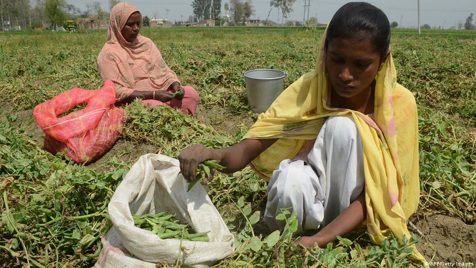 Pangan Murah bagi Warga Miskin India DW 15.07.2013