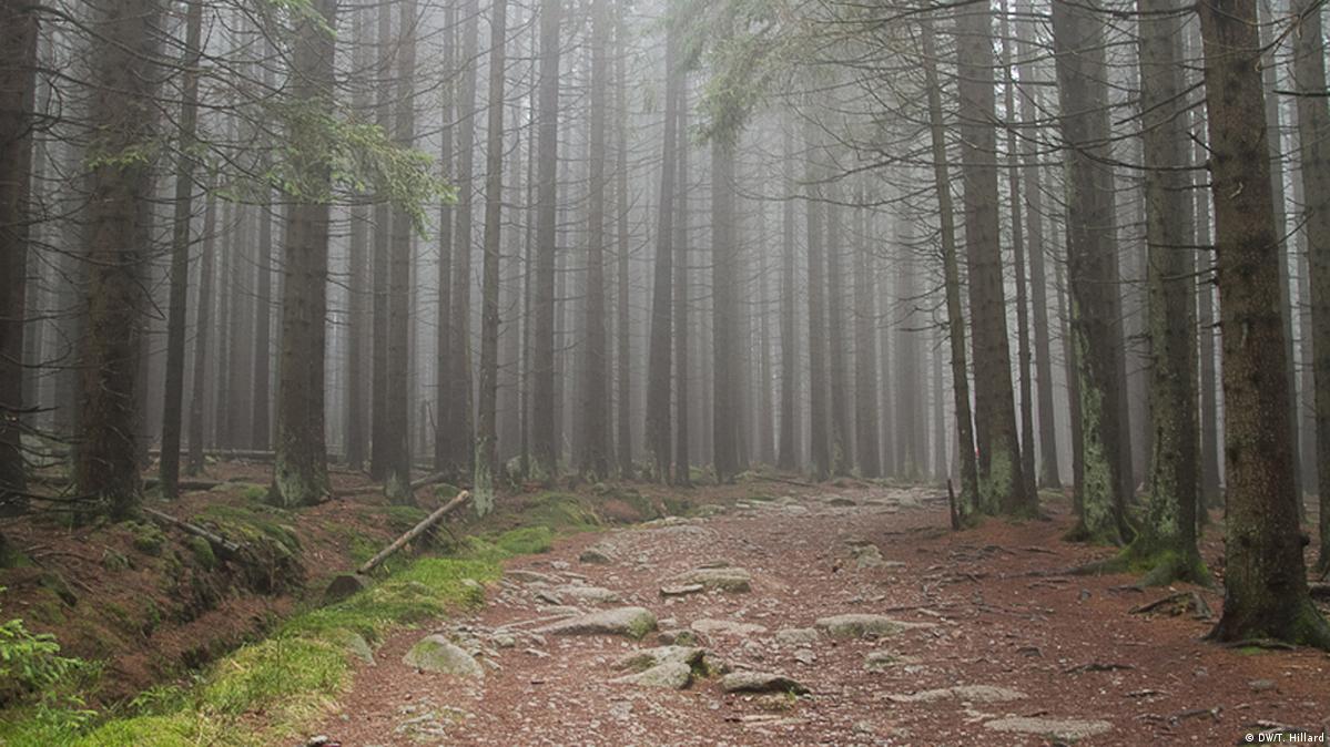 Harz Mountains DW 02/17/2014
