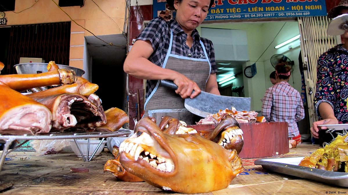 Do Chinese People Really Eat Cat And Dog