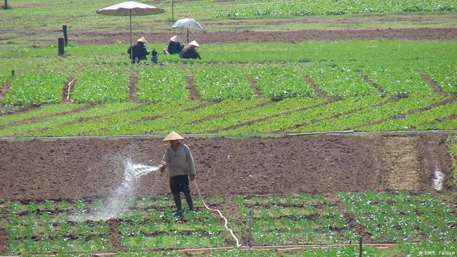 Wastewater crop irrigation risks health DW 07/05/2017