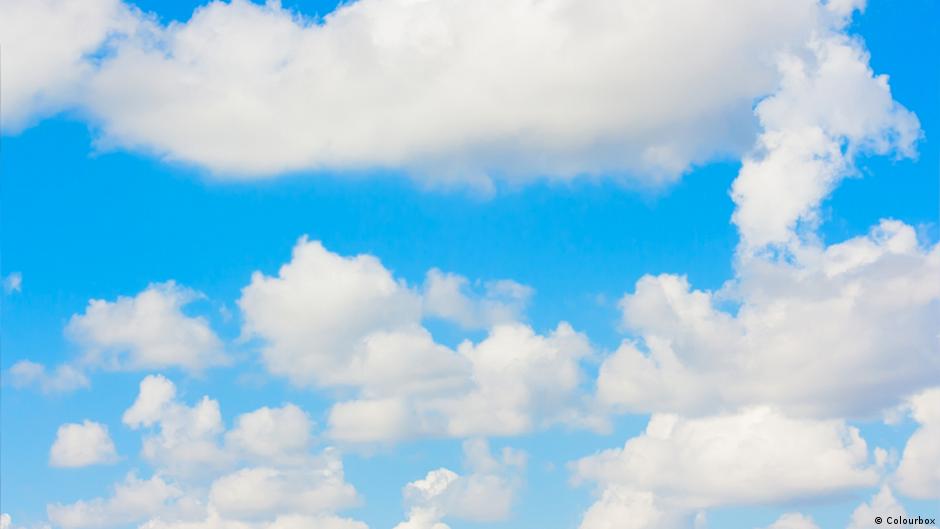 Where have all the flowers gone? DW 05/17/2015