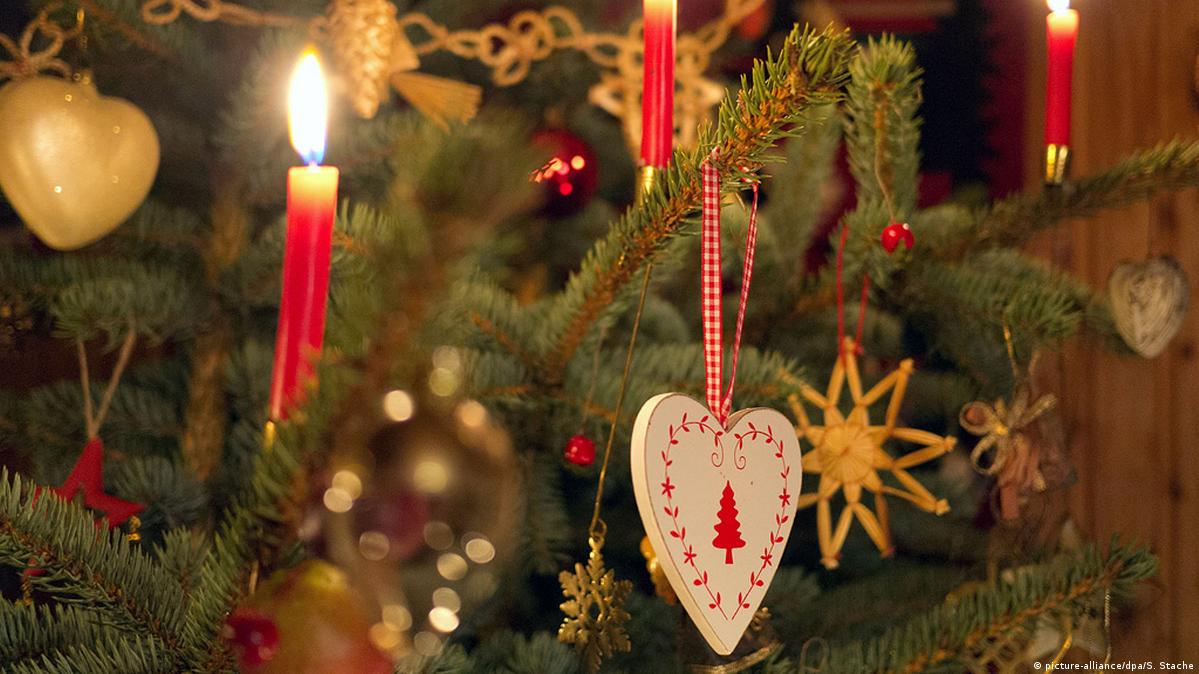 Germans and their Christmas tree a true love story DW 12/17/2015