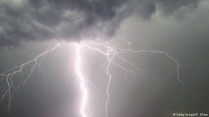Lightning risk ′much higher for animals′ Science Indepth reporting
