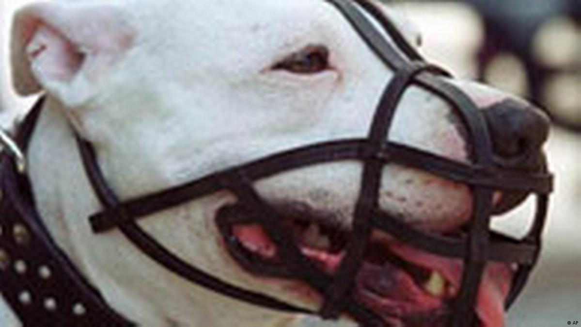 Are Pitbulls Banned In Germany