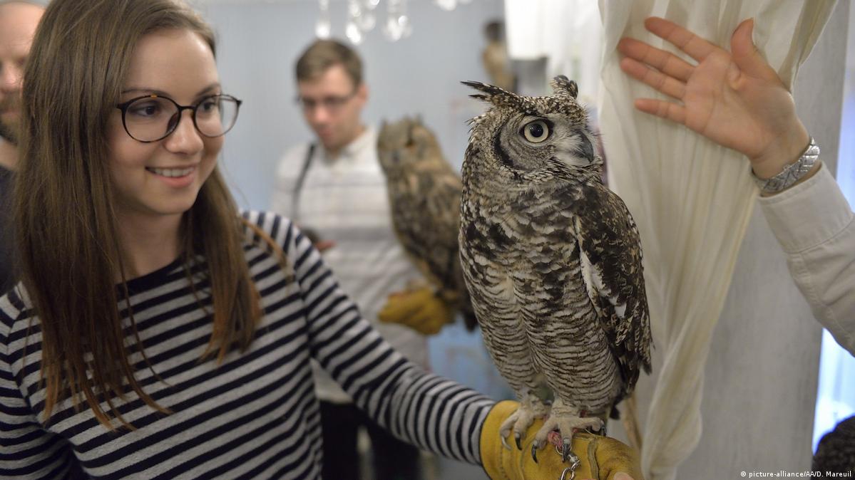 Are owl cafés a good idea? DW 01/09/2017