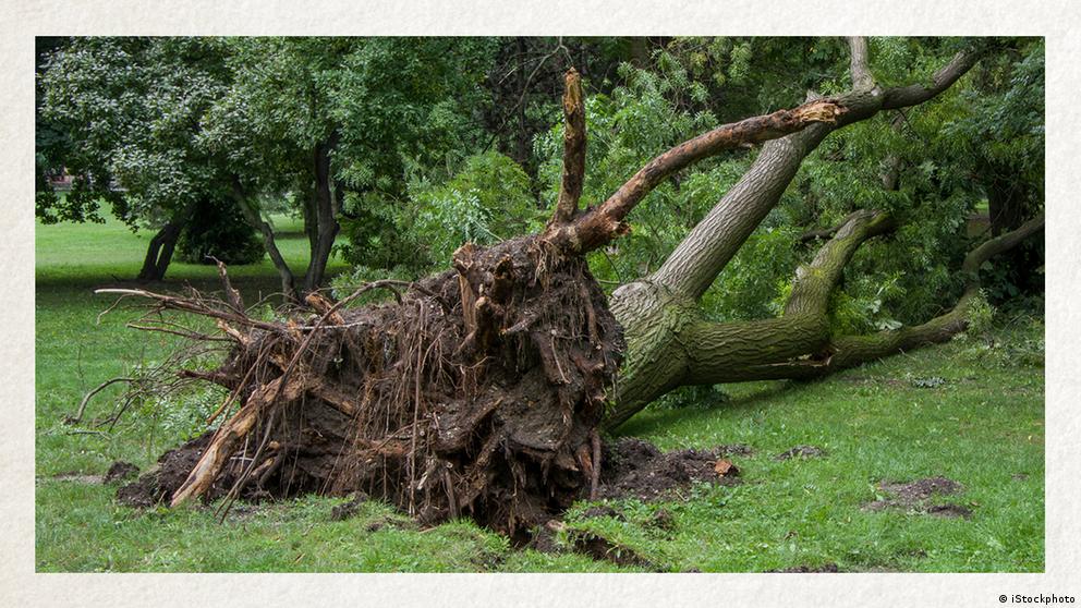 Wortschatz Wegen des Wetters DW Deutsch Lernen