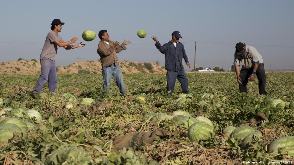 US needs Mexican labor DW 06/10/2019