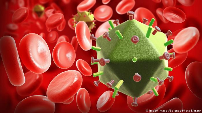 Vaksin Hiv/Aids Yang Efektif Melindungi Tidak Akan Ada? | Dunia: Informasi Terkini Dari Berbagai Penjuru Dunia | Dw | 08.07.2020