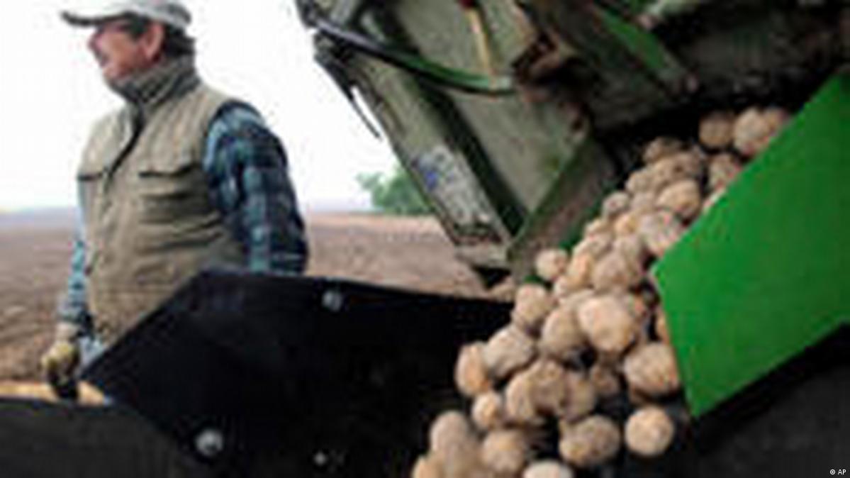 Mashed Genes DW 03/03/2010