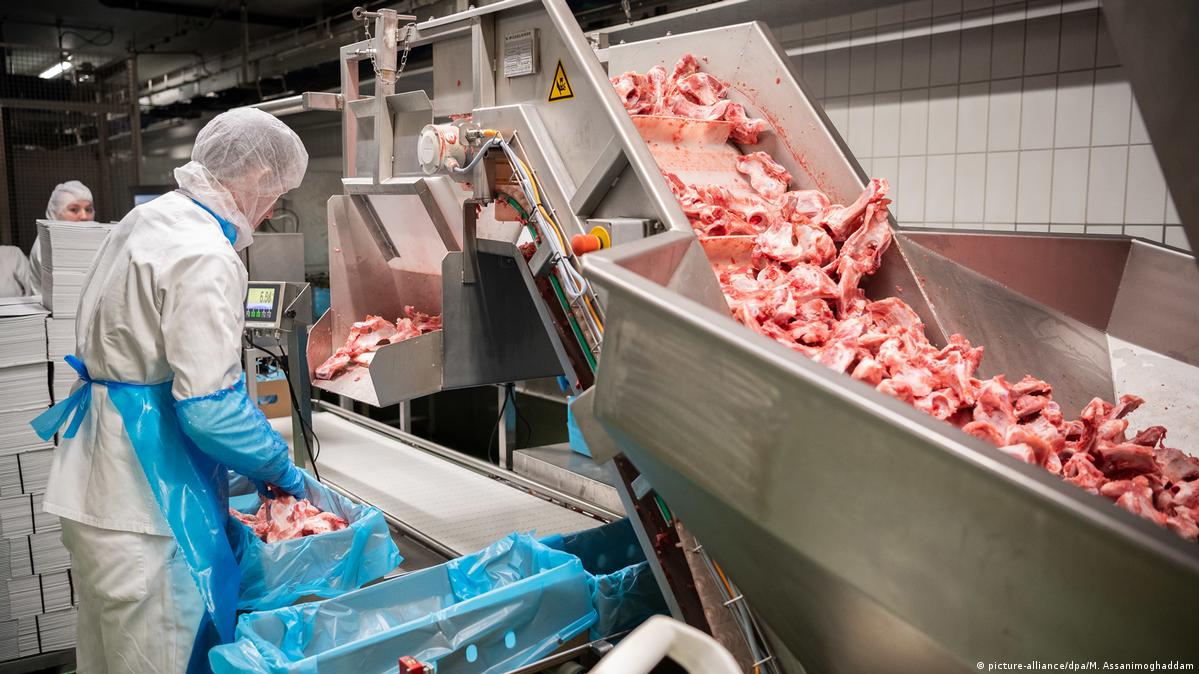 How does Germany's meat industry work? DW 06/19/2020