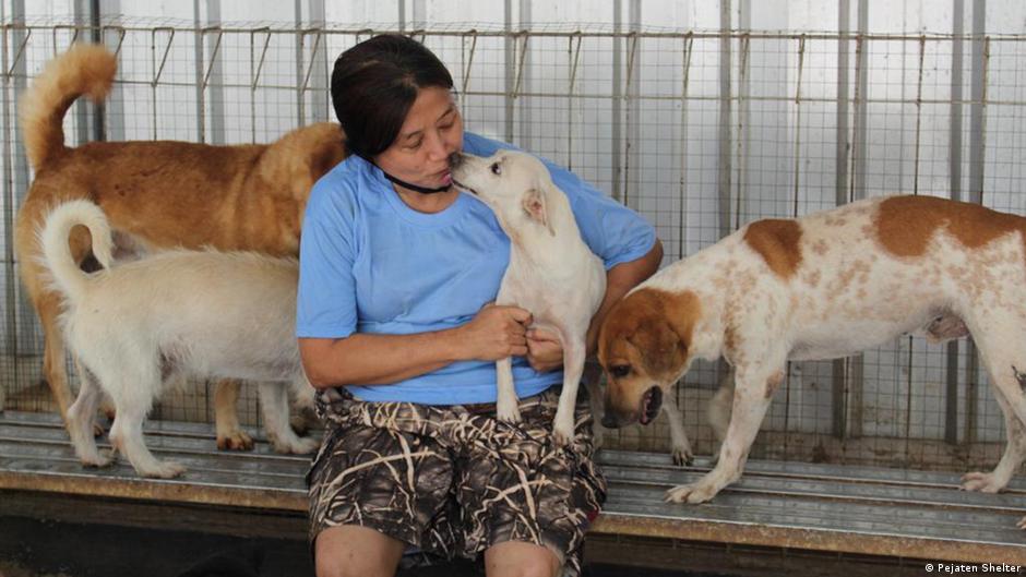 Susana Somali, Dokter Penyelamat Anjing Terlantar