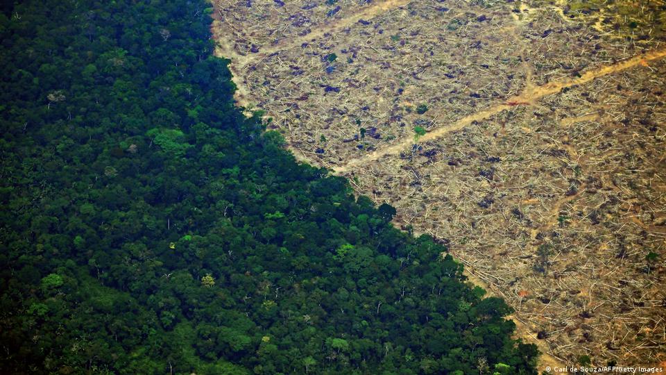 Amazon Forest Deforestation