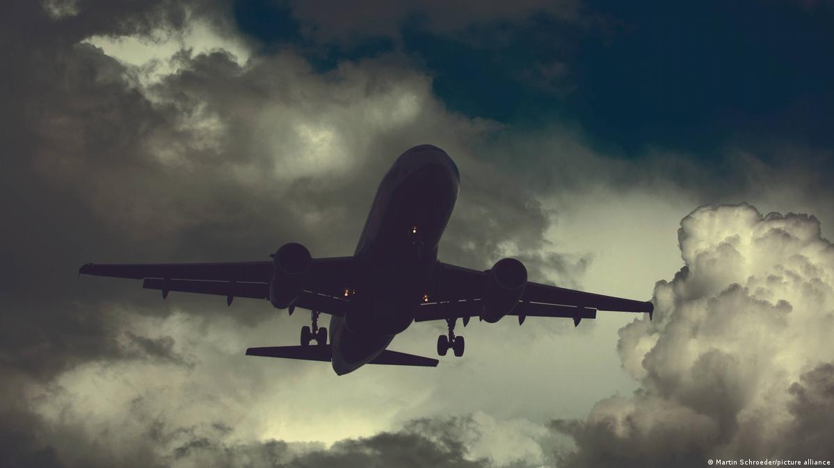 How Do Dogs Pee On Long Flights