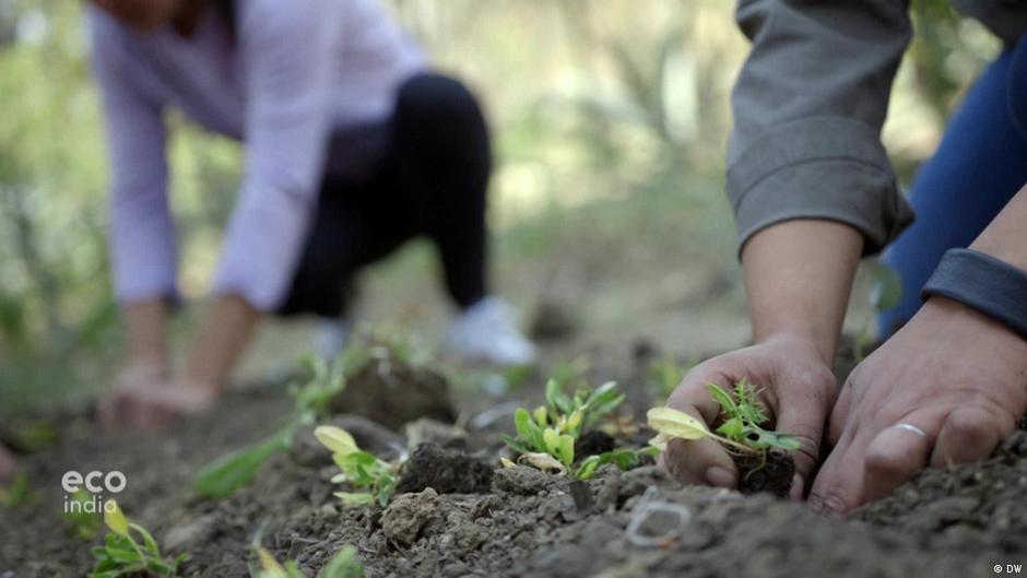 Turning feces into a safe fertilizer DW 06/10/2022