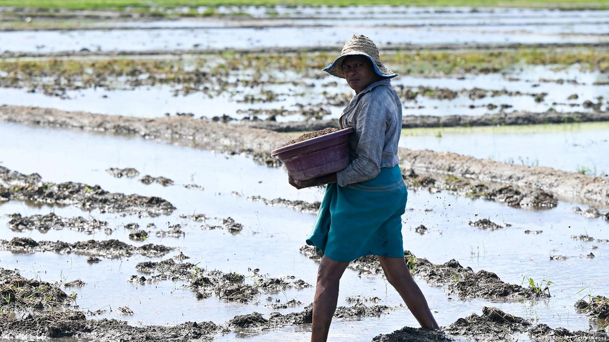 Sri Lanka on brink of food crisis DW 09/15/2022