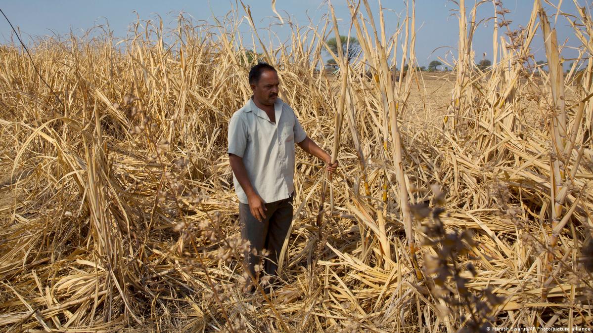 India Why are suicides among farmers on the increase? DW 09/04/2022