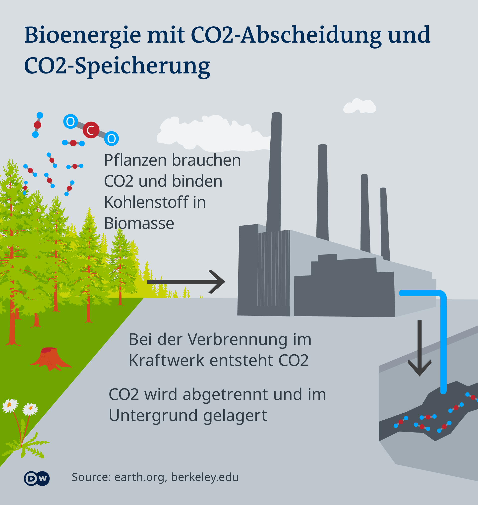 Storing CO2 with bioenergy power plants bluff or climate rescue? AllInfo