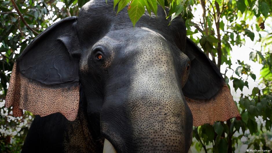 India Kerala temple deploys robotic elephant for rituals DW 03/23/2023