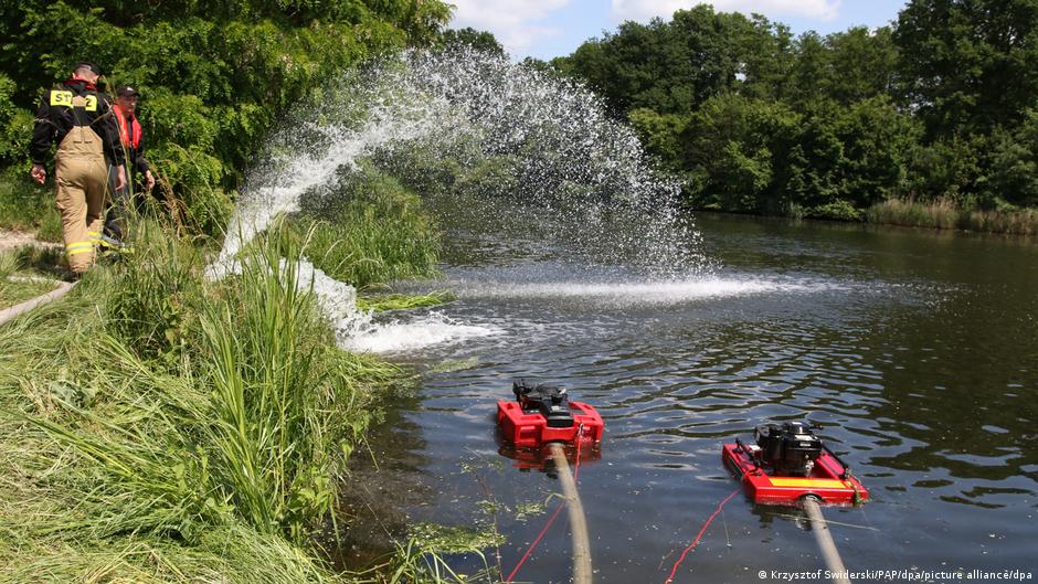 Fish dieoff The next ecodisaster? DW 06/22/2023