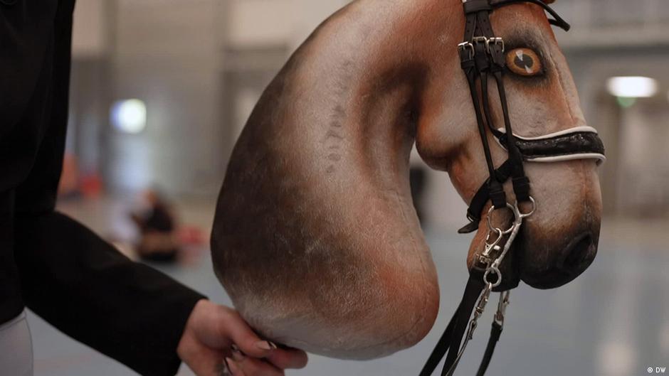 Hobby horsing in Hungary Why all the negativity? DW 10/17/2023