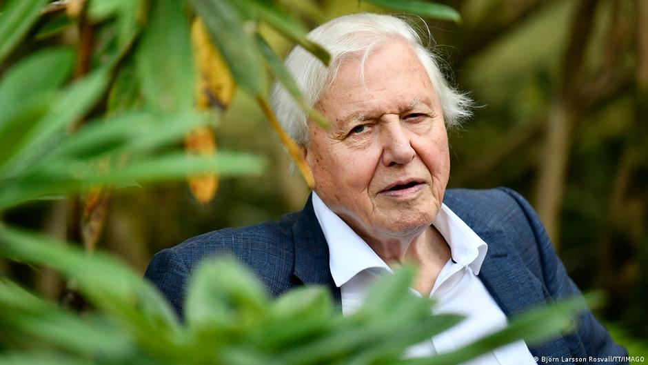 Celebrating 100 Years of David Attenborough: A Tribute to the Iconic Naturalist and His Impact on Nature Conservation Celebrating 100 Years of David Attenborough: A Tribute to the Iconic Naturalist and His Impact on Nature Conservation