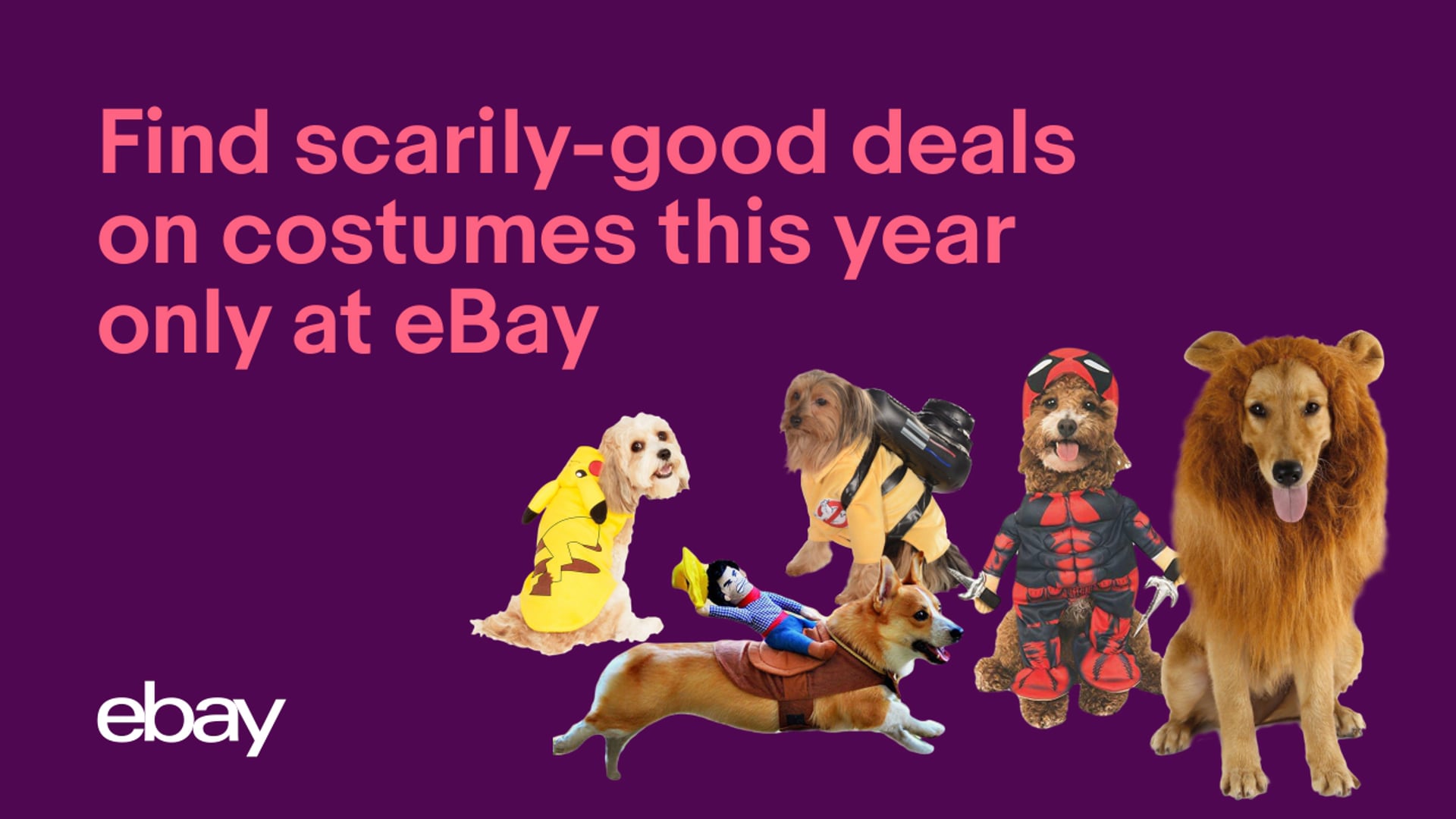 Halloween 2019 eBay Reveals the Top Costumes for Adults, Kids and Pets