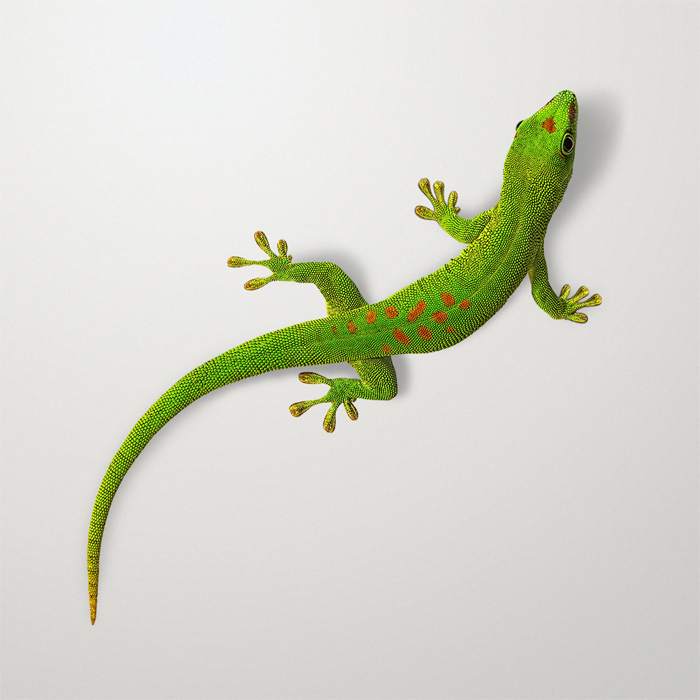 Si Labs sampling Gecko wireless module with Thread and ZigBee support