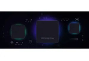 مجلة الأفوكادو