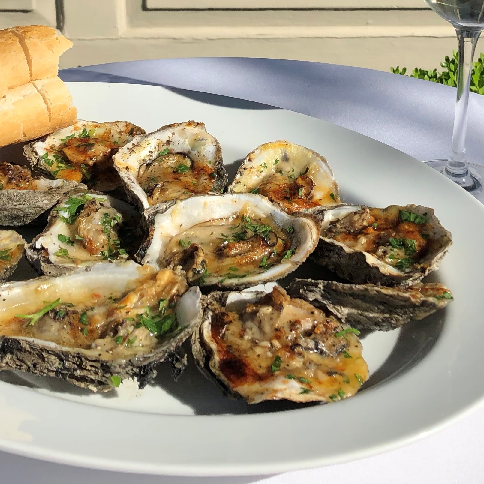 Grilled Oysters on the Half Shell