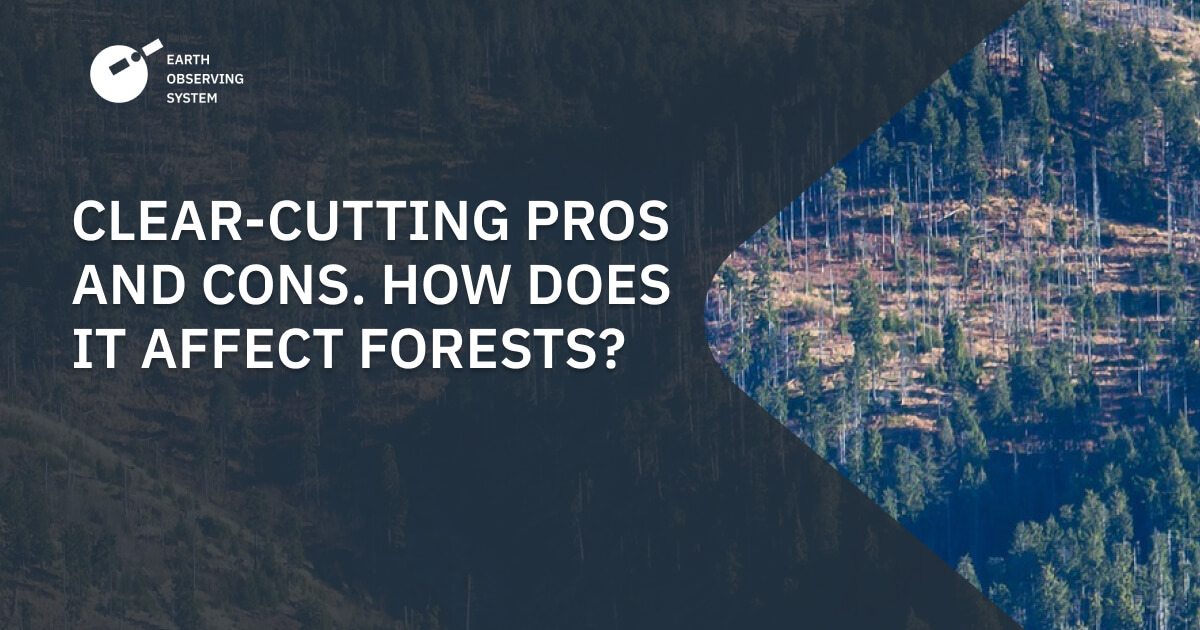 What Does Clear Cut Mean MeaningKosh