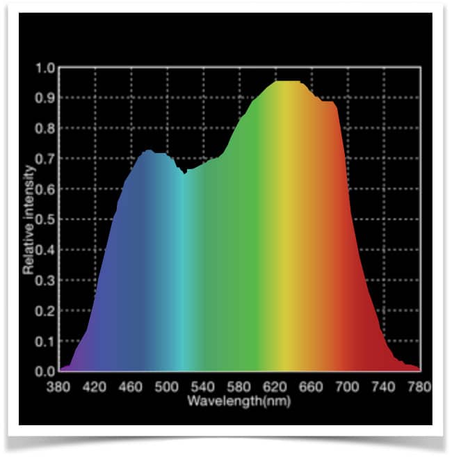 Wavelength Of Light Photosynthesis