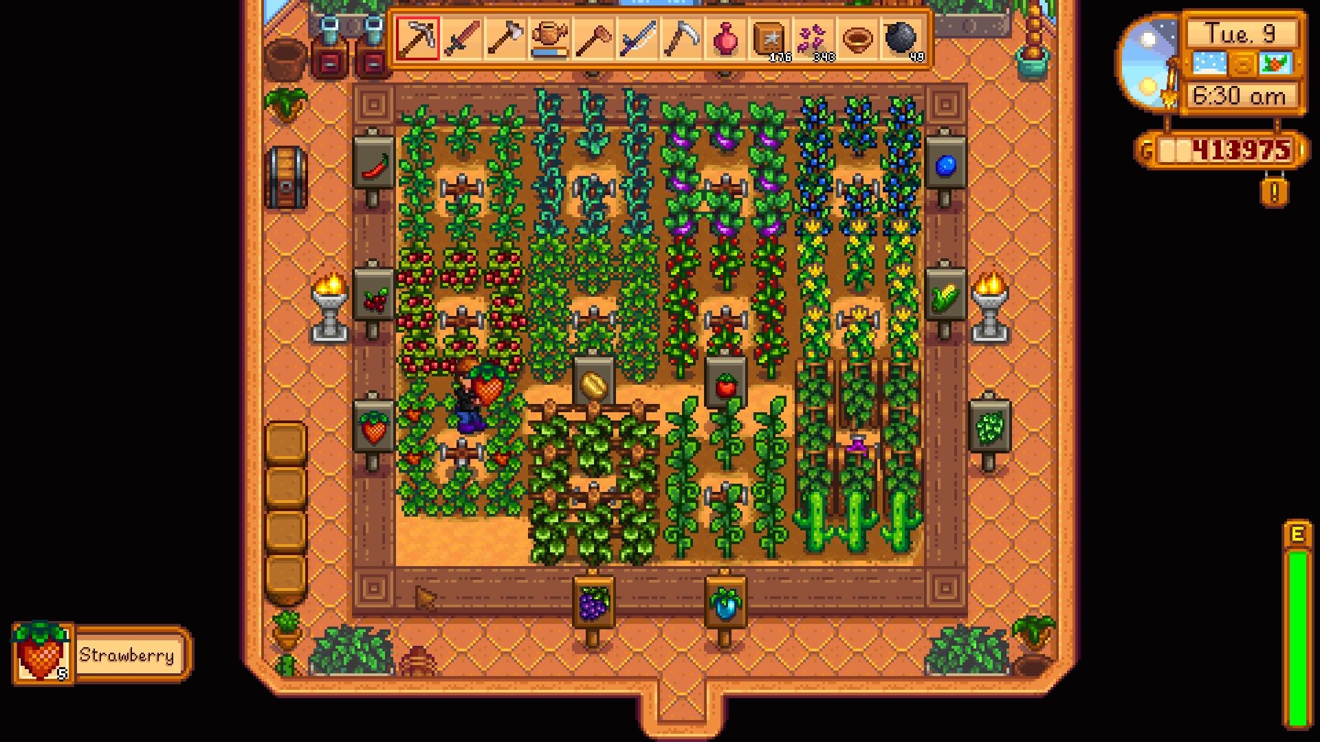 Stardew Valley Strawberry Guide – Tips, Uses, Sell Price, Seeds 