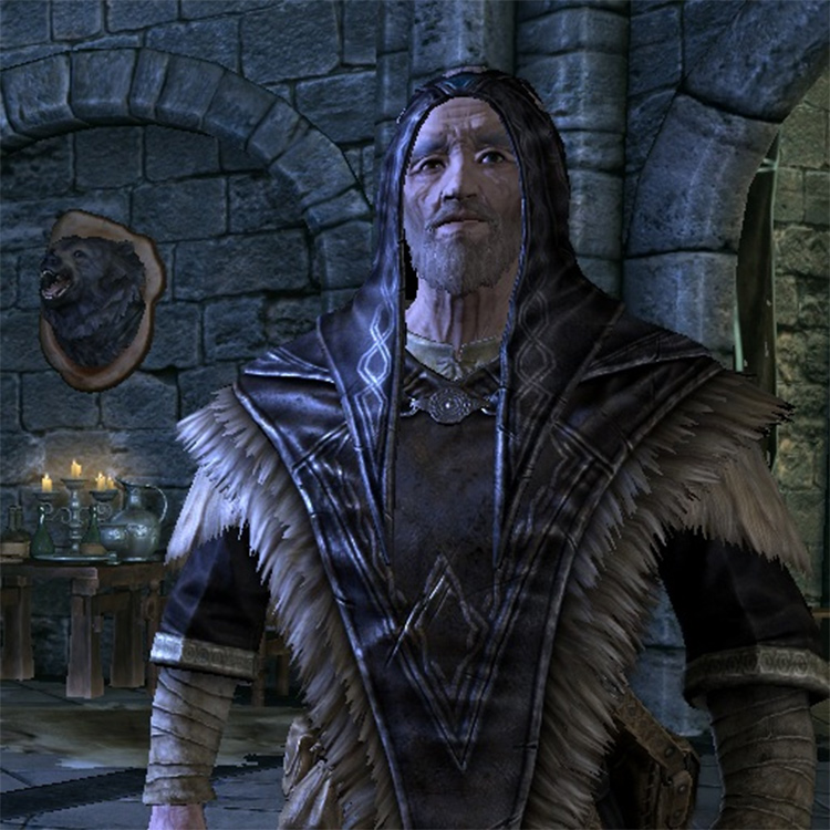 25 Best Skyrim Mods For Altering Guilds & Factions FandomSpot