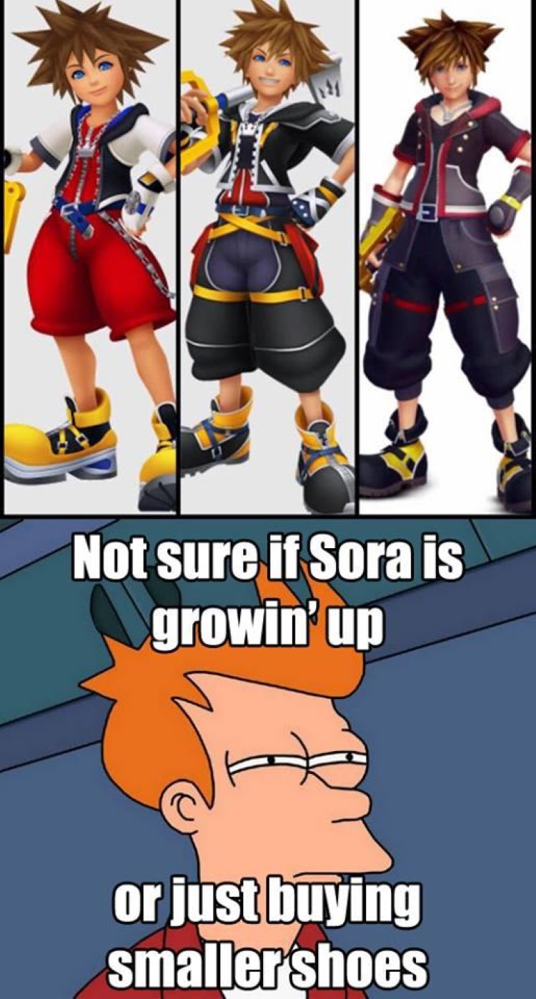 160+ Funniest Kingdom Hearts Memes Of All Time FandomSpot