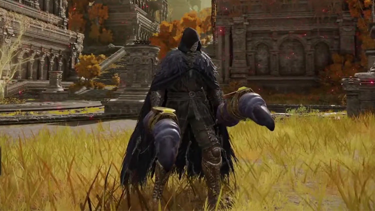 Top 10 Most Fun Dual Wields in Elden Ring FandomSpot