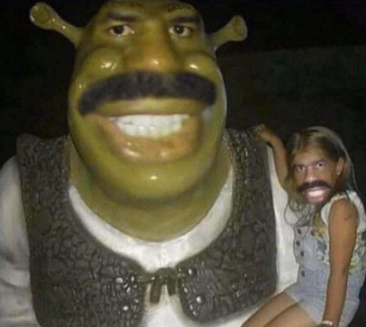 Donkey Making Funny Face K0nem
