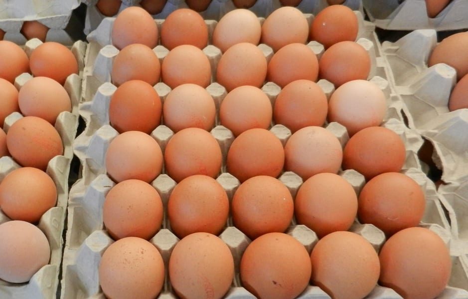 recalled fresh eggs, the food alert of the Ministry of Health