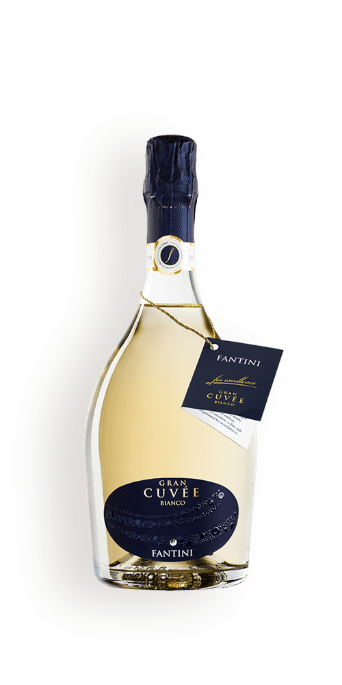 Italian Wines by Fantini Group White, Red, Rosè & Sparkling Fantini
