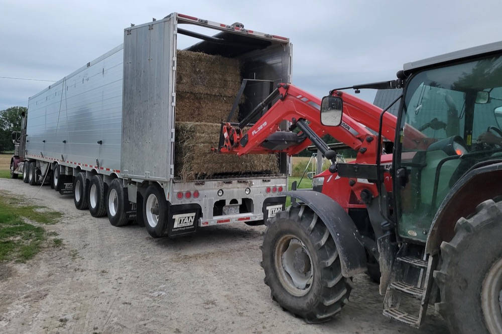 Elmira hay and straw auction continues successful record Farmtario