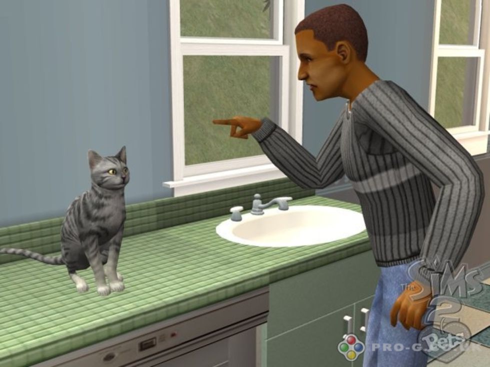 The Sims 2 Pets är här. Låt dina Simar skaffa husdjur. Feber / Mac