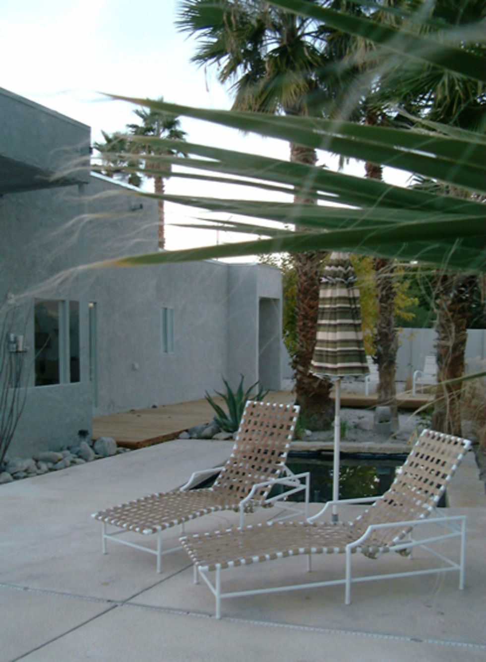En vecka i Palm Springs. Hyr ett hus Feber / Hem