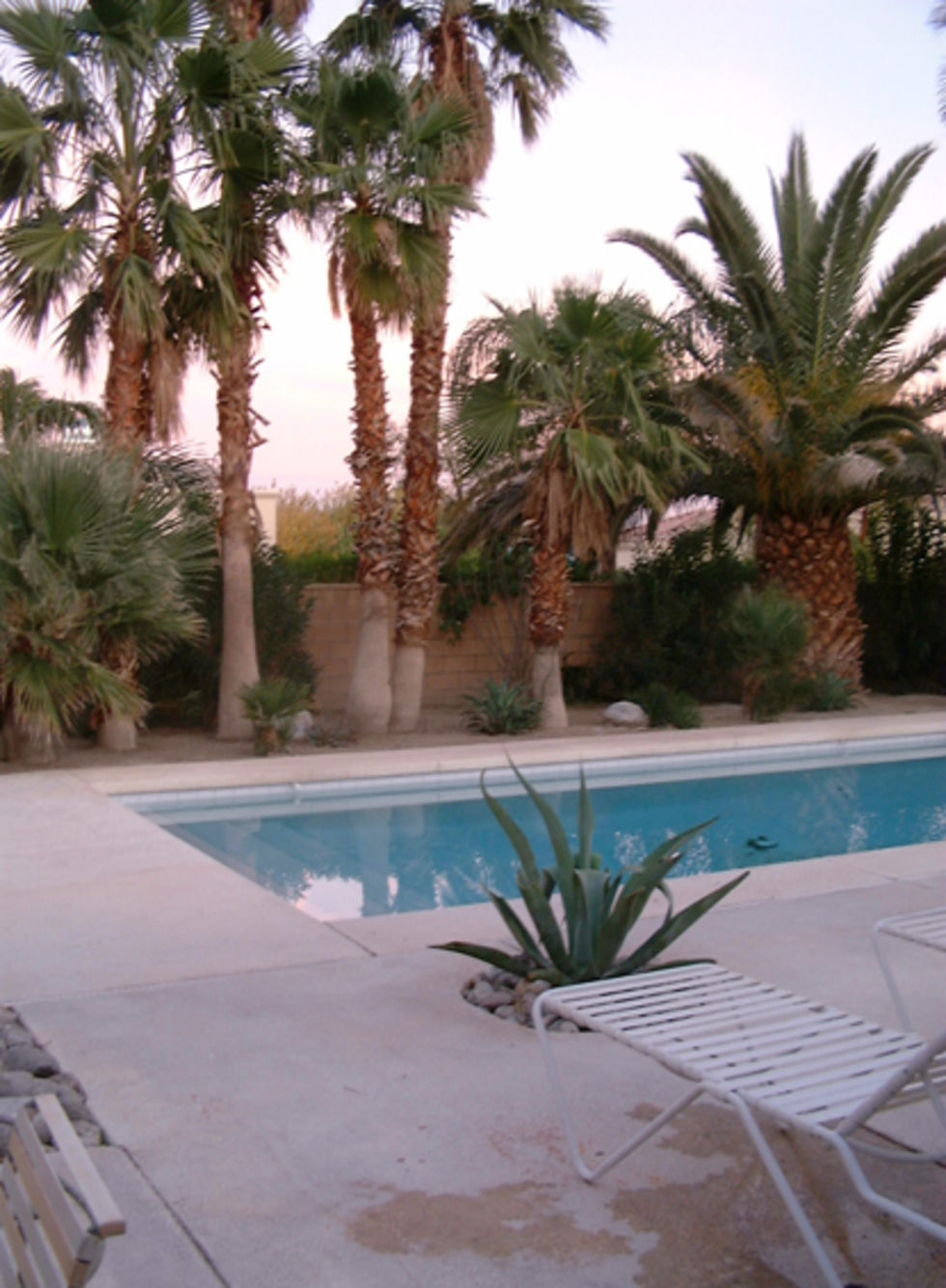 En vecka i Palm Springs. Hyr ett hus Feber / Hem