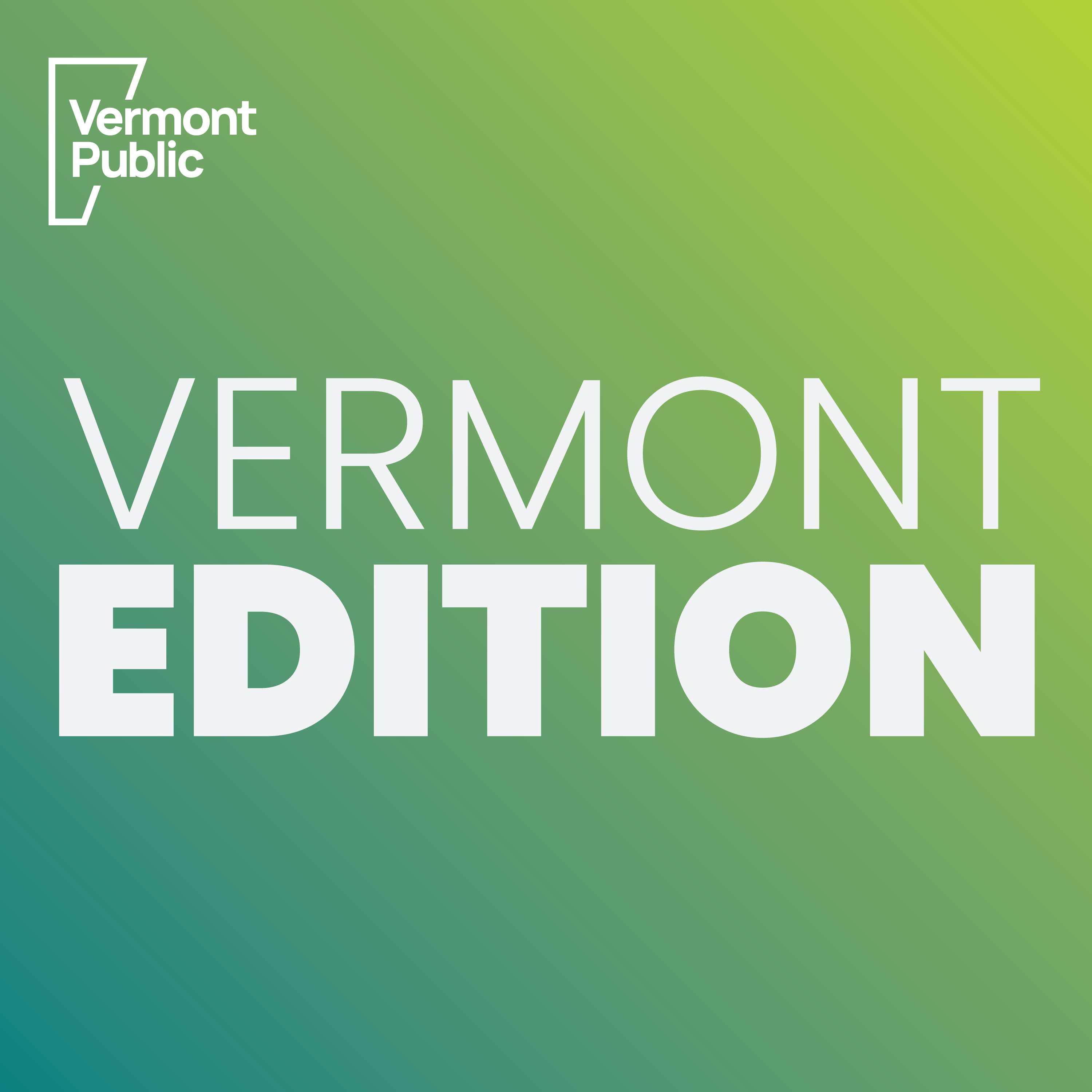 Why Burlington accountant Ericka Redic wants to represent Vermont in