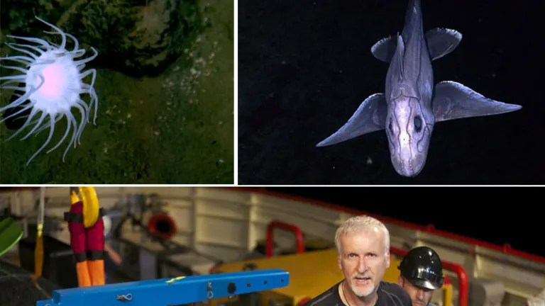 'Release! Release! Release!' Cameron heads 11k to ocean floor