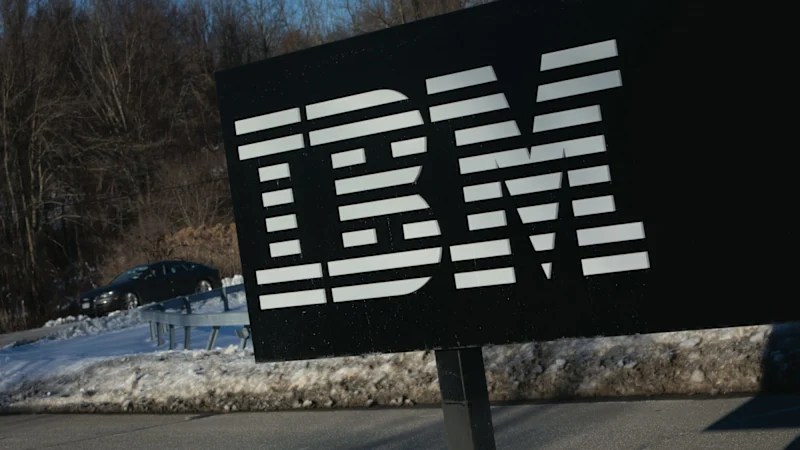 Queensland can't sue IBM over health payroll system judge